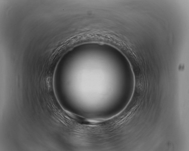 X0000091501490200708161448