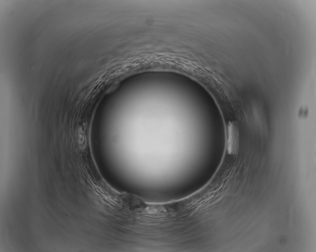 X0000091501491200708161448