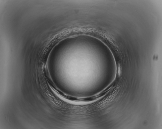 X0000091501492200708161448