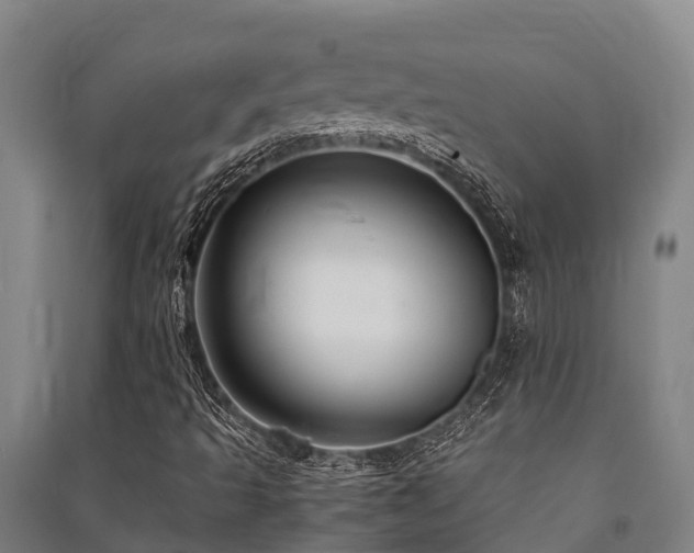 X0000091501493200708161448
