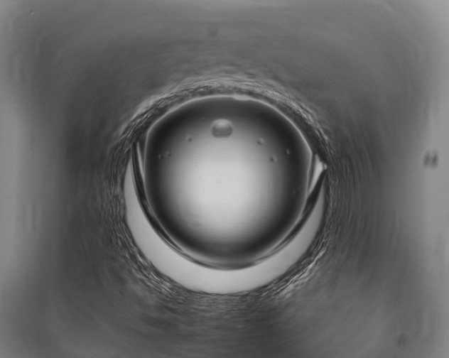 X0000091501494200708161448