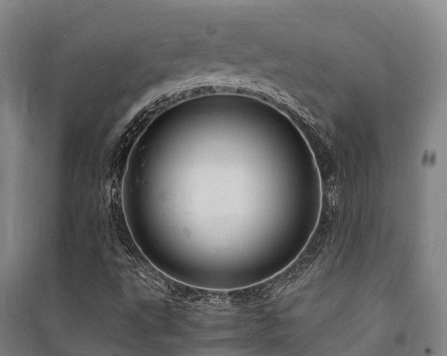 X0000091501495200708161448