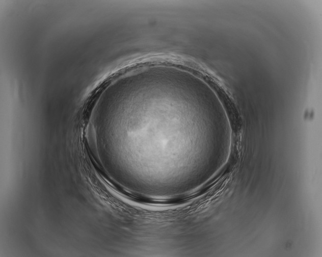 X0000091501496200708161448