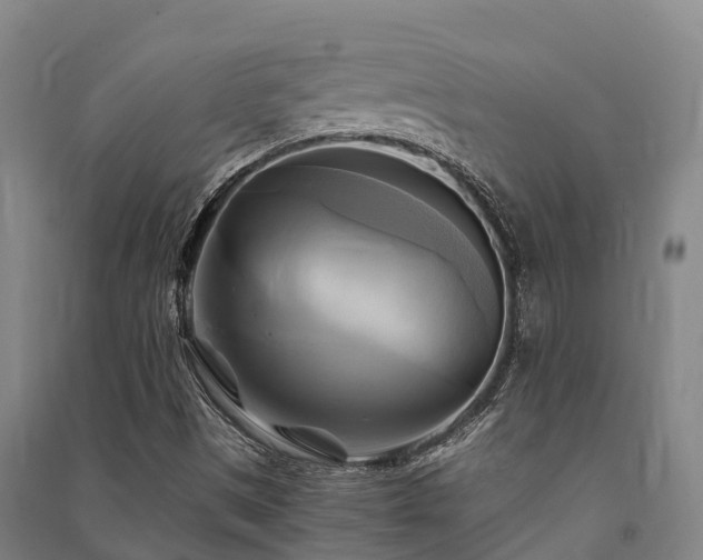 X0000091501497200708161448