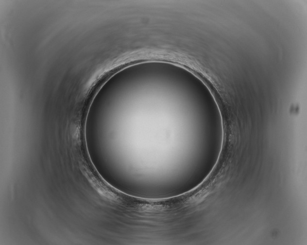 X0000091501499200708161448