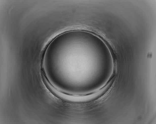 X0000091501500200708161448