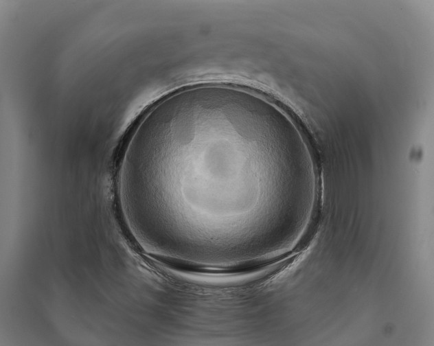 X0000091501501200708161448