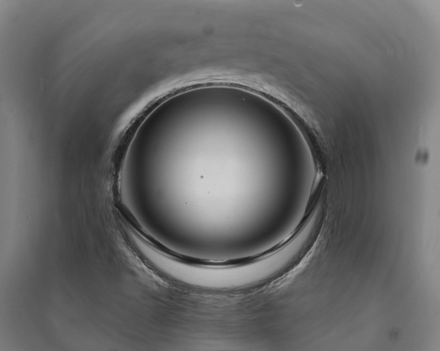 X0000091501502200708161448