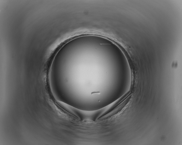 X0000091501503200708161448