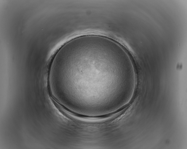 X0000091501504200708161448