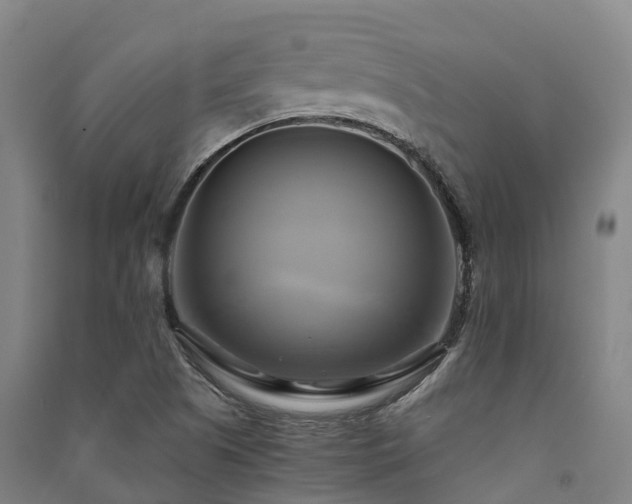 X0000091501505200708161448