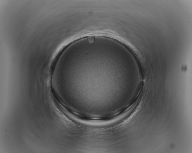 X0000091501506200708161448