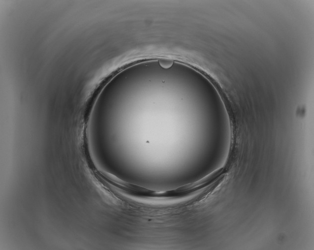 X0000091501507200708161448