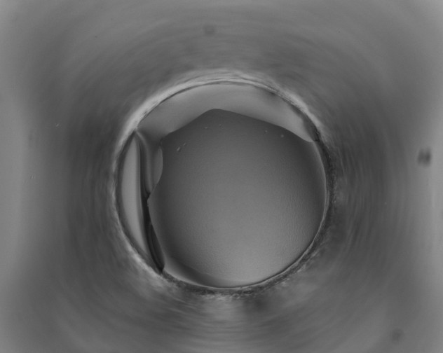 X0000091501508200708161448