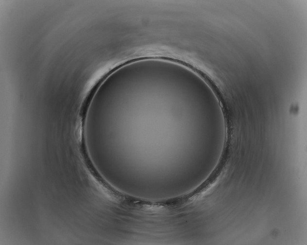 X0000091501509200708161448