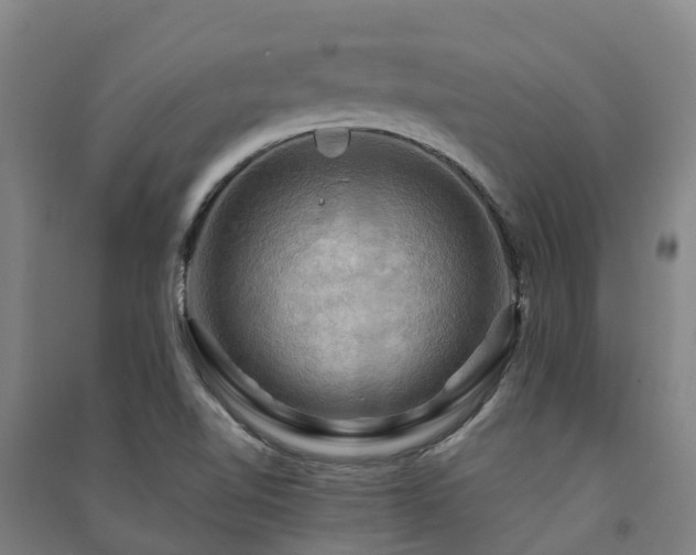 X0000091501510200708161448