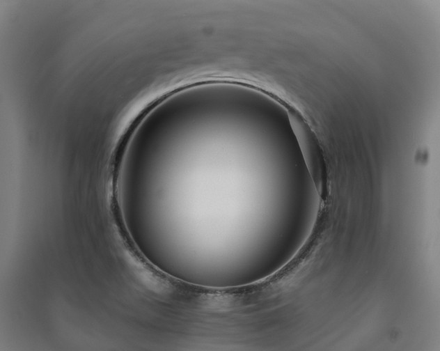 X0000091501511200708161448