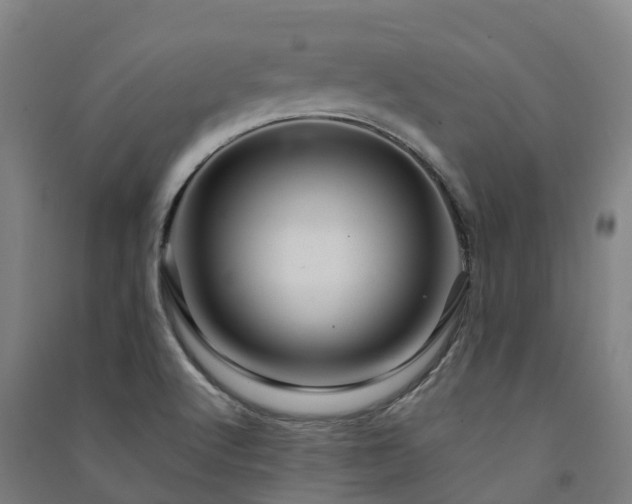 X0000091501512200708161448