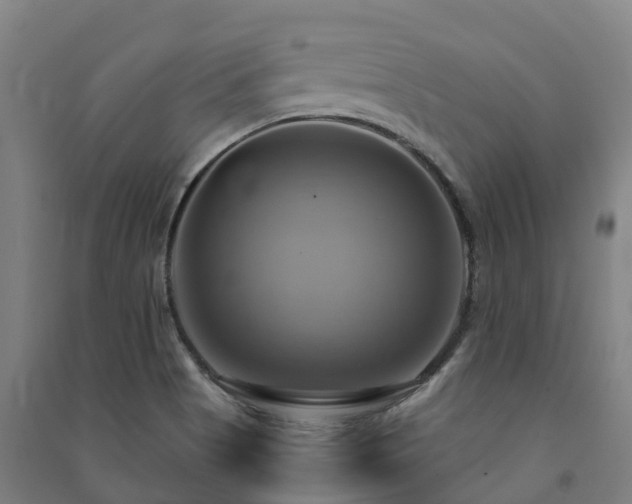 X0000091501513200708161448