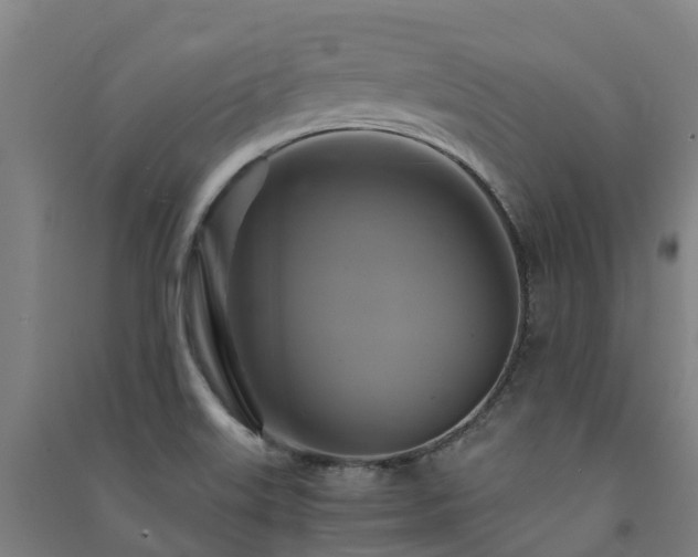 X0000091501515200708161448