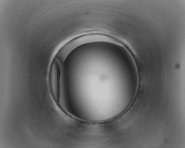 X0000091501516200708161448