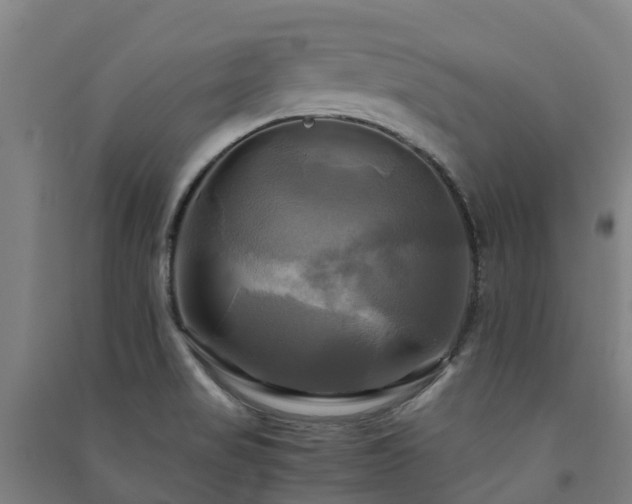 X0000091501517200708161448