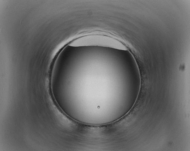 X0000091501518200708161448