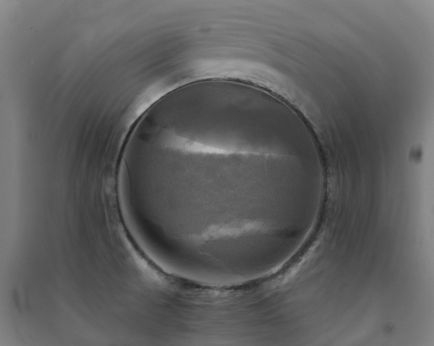 X0000091501521200708161448