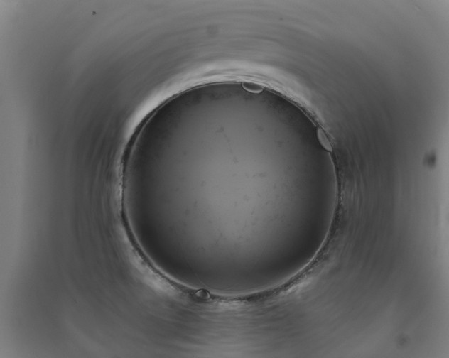 X0000091501522200708161448