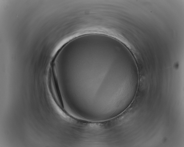 X0000091501523200708161448