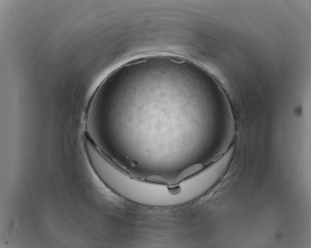 X0000091501524200708161448