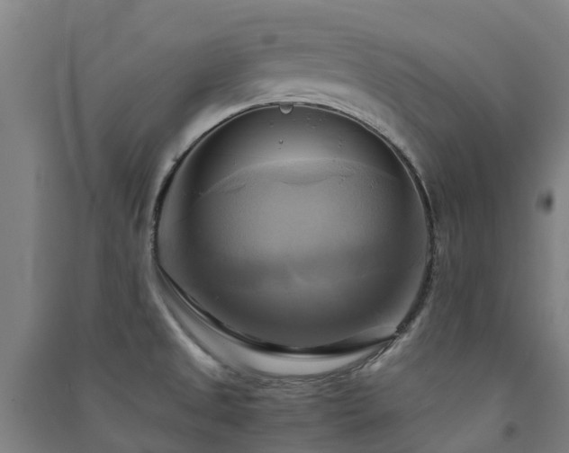 X0000091501525200708161448