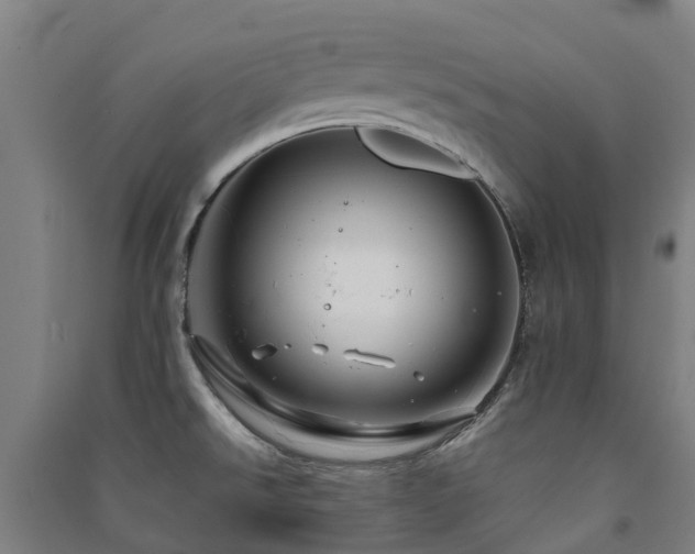 X0000091501526200708161448