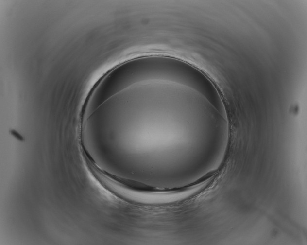 X0000091501527200708161448