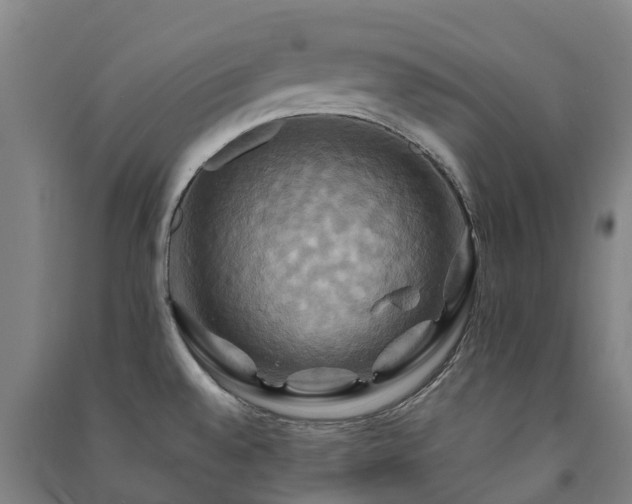 X0000091501528200708161448