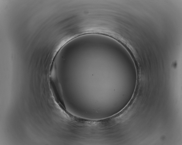 X0000091501529200708161448