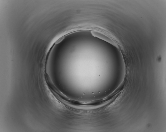 X0000091501530200708161448
