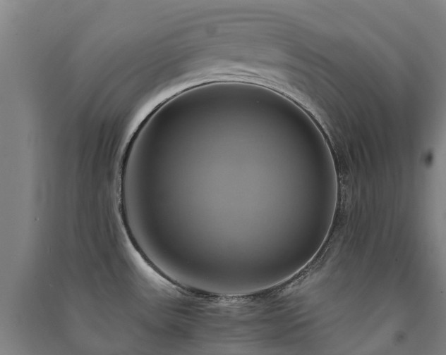 X0000091501531200708161448
