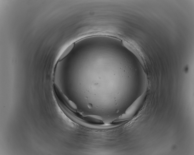 X0000091501532200708161448