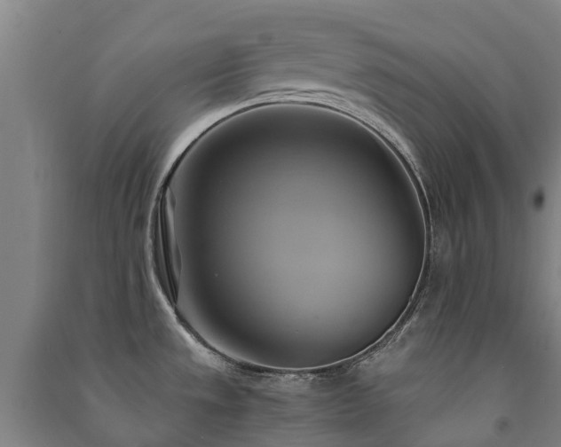 X0000091501533200708161448