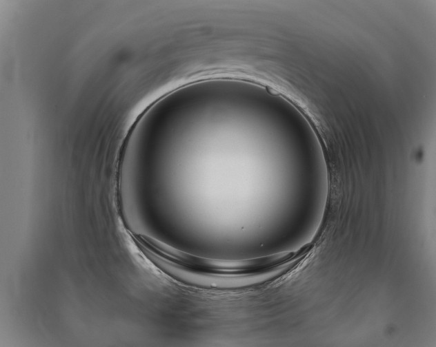 X0000091501534200708161448