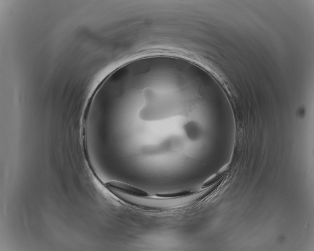 X0000091501535200708161448