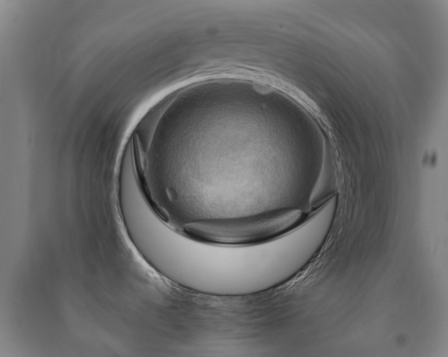 X0000091501536200708161448