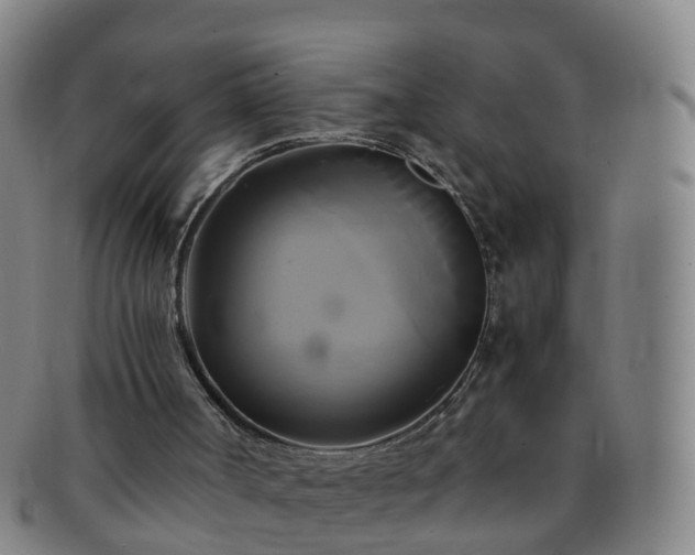 X0000091500002200708231454