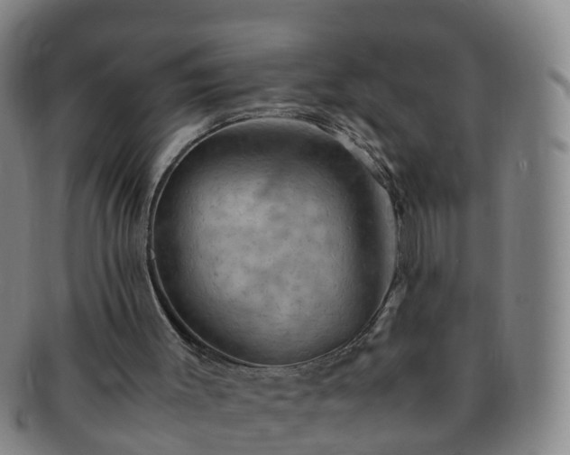 X0000091500003200708231454