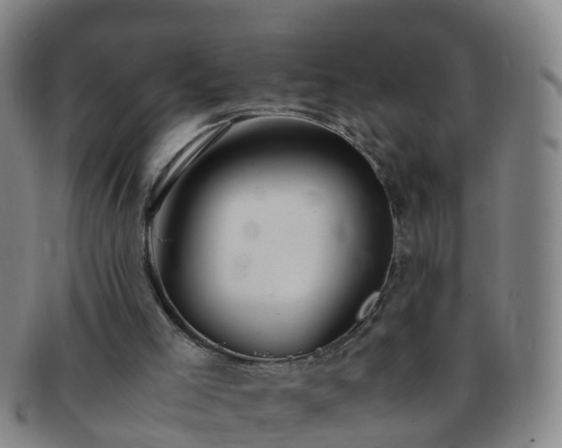 X0000091500005200708231454