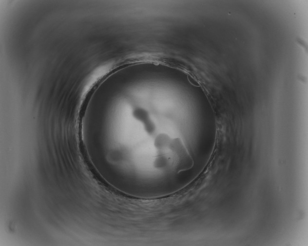 X0000091500006200708231454