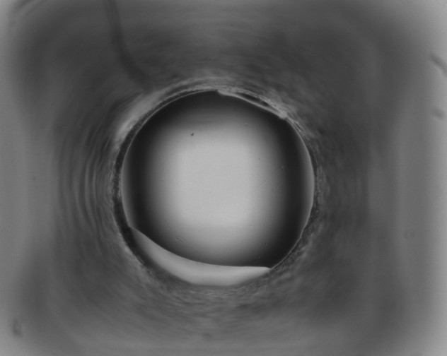 X0000091500007200708231454