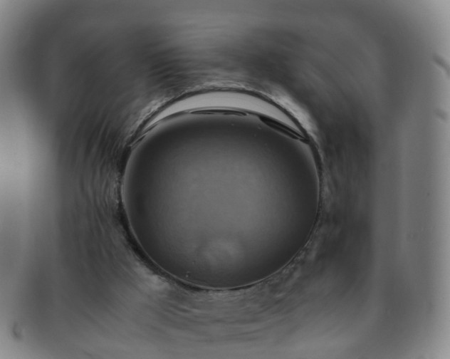 X0000091500009200708231454