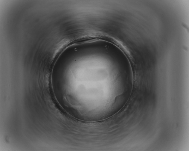 X0000091500010200708231454